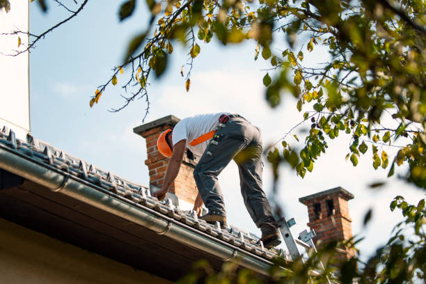 Best Cold Roofs  in Mccamey, TX