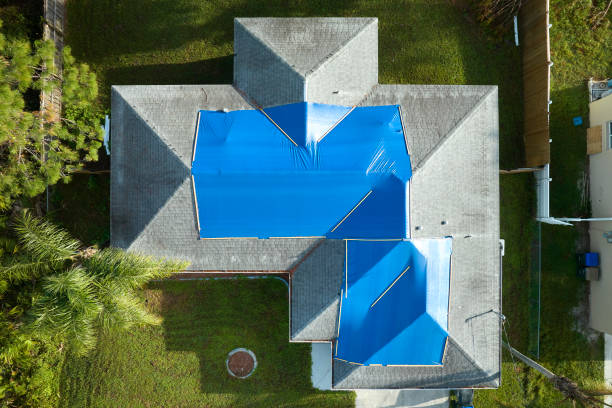 Best Storm Damage Roof Repair  in Mccamey, TX